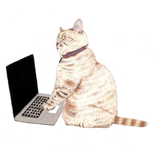 ноутбук кошачьи кошки малого и среднего размера