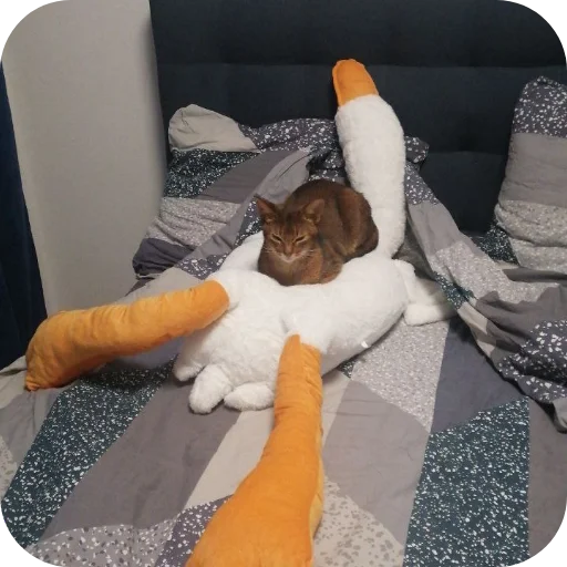 Стикер nammalo - 1