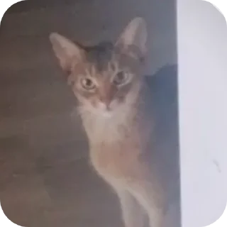 Стикер Одного нам мало - 3