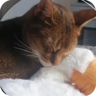 Стикер Одного нам мало - 7