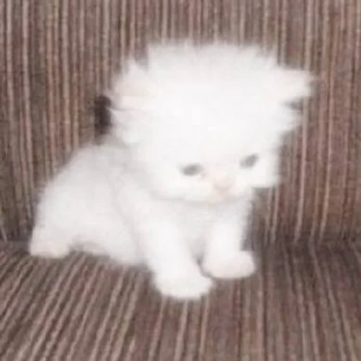 Стикер ୧.˚🍰𐌽ᥲ᧐ δy @ilmilonabs :: @fStikBot - 7