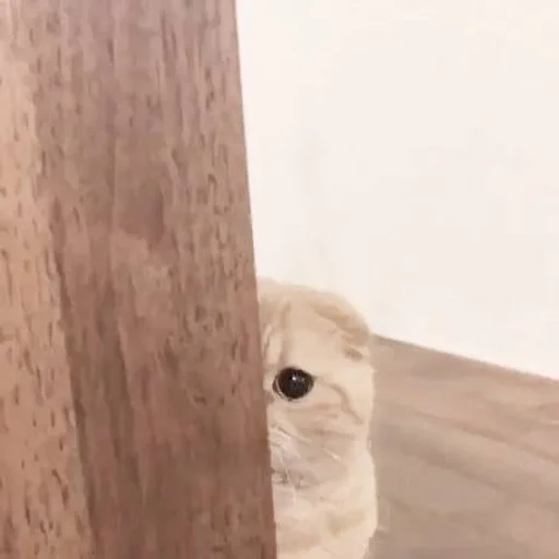 Стикер ୧.˚🍰𐌽ᥲ᧐ δy @ilmilonabs :: @fStikBot - 5