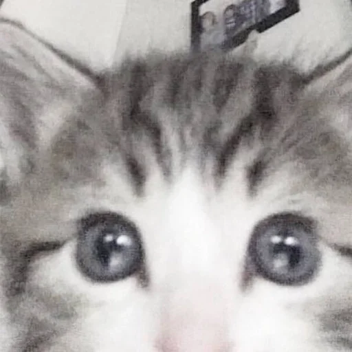 Стикер ୧.˚🍰𐌽ᥲ᧐ δy @ilmilonabs :: @fStikBot - 4