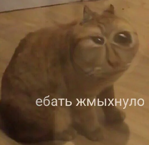 Стикер чат про наркотики - 2