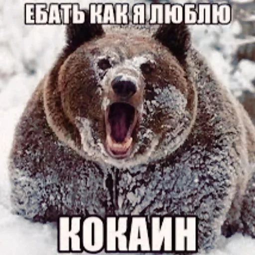 животное млекопитающее СМС