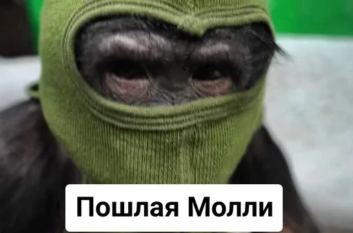 одежда маска ношение