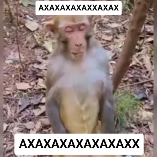 животное млекопитающее СМС