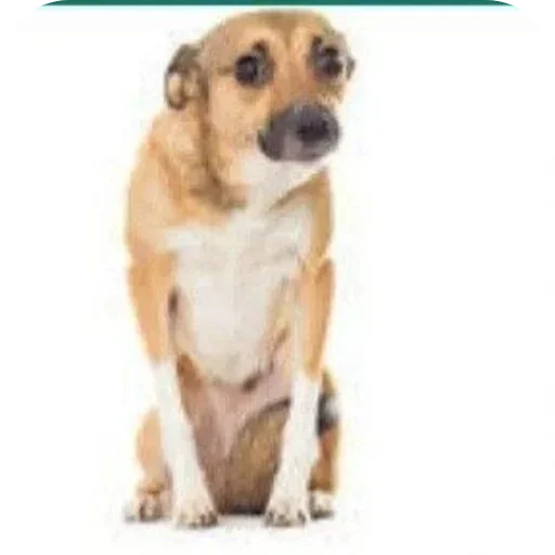 Sticker narkayudna_by_TgEmodziBot - 1