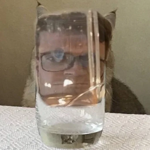 transparent material glass indoor