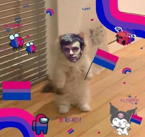 animal mammal indoor