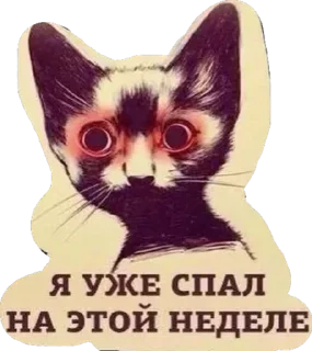Sticker нарк - 5