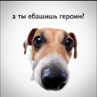 Sticker нарко движ - @pozvolmolodostijit \\ @torchmeme. - 11