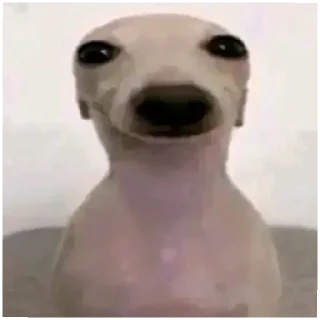 Стикер нашлв - 10