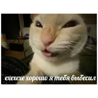 Sticker насрано - 9