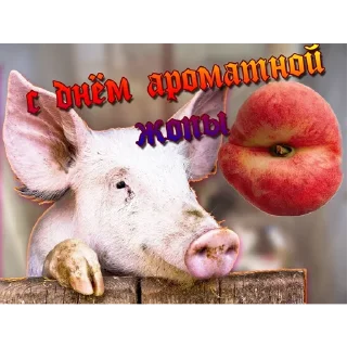 Sticker jaba_pack - 3