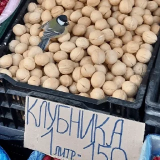 Sticker рыбоньки - 0