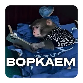 Стикер НА ТЕМКАХ @mankblog - 7