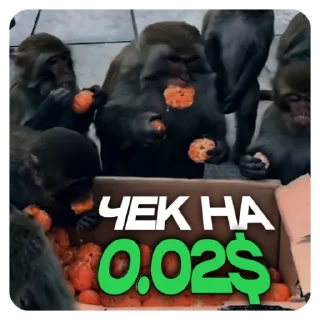 Стикер НА ТЕМКАХ @mankblog - 1