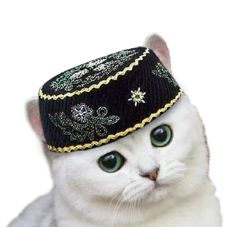 Sticker national_cat.png - 1