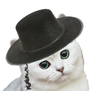 Sticker national_cat.png - 3