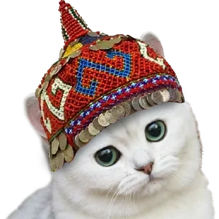 Sticker national_cat.png - 2