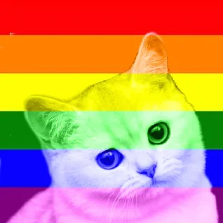 Sticker national_cat.png - 0