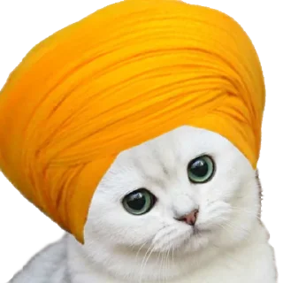 Sticker national_cat.png - 4