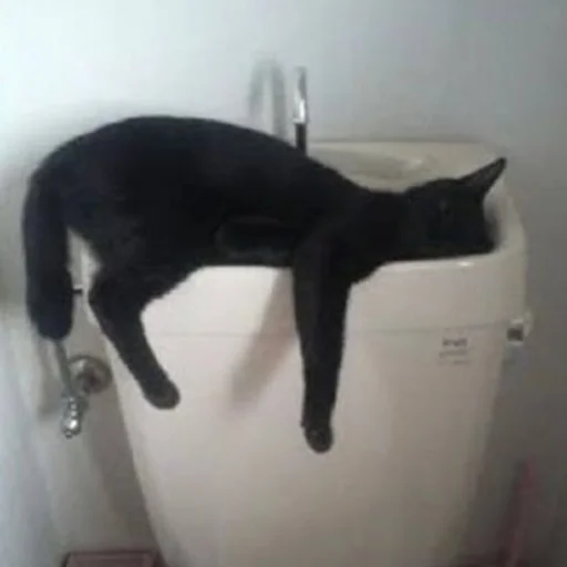 Стикер пахуyou - 11