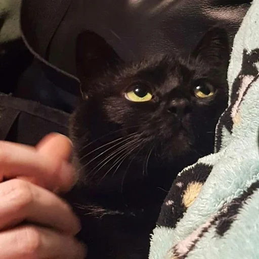 Стикер пахуyou - 10