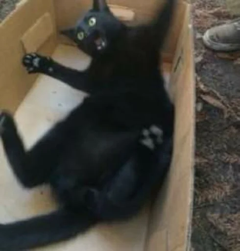 Стикер пахуyou - 7