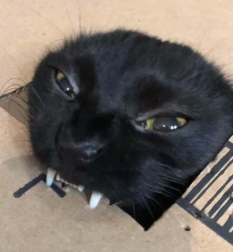 Стикер пахуyou - 6