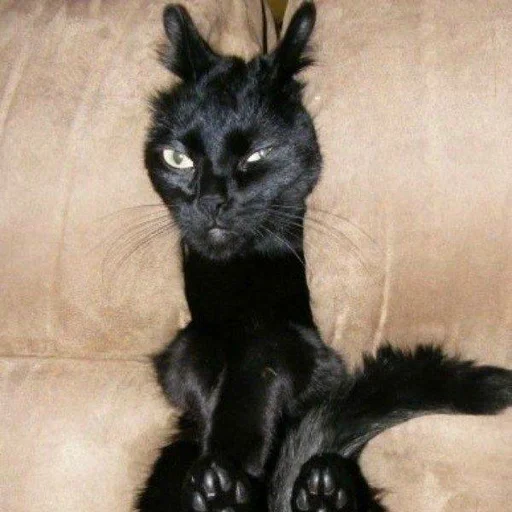 Стикер пахуyou - 5