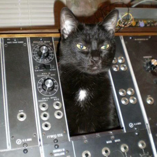 Стикер пахуyou - 4