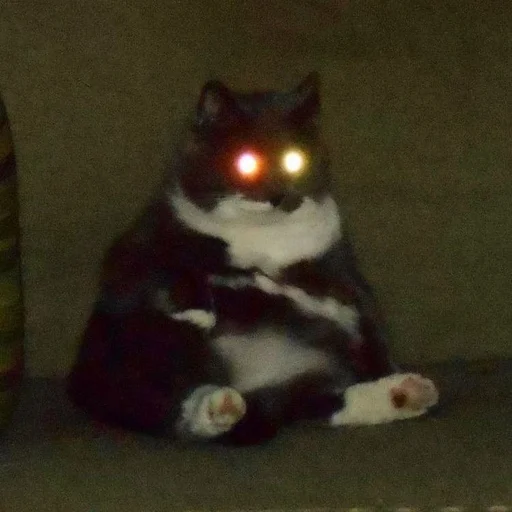 Стикер пахуyou - 2