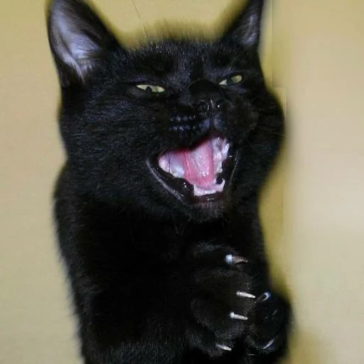 Стикер пахуyou - 0