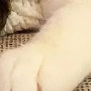 Стикер @rv0taenota - 8