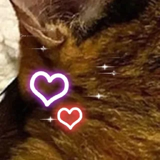 Стикер @rv0taenota - 1