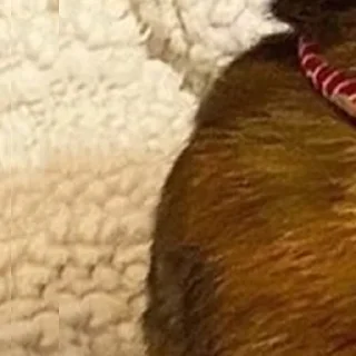 Стикер @rv0taenota - 4