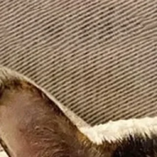 Стикер @rv0taenota - 2