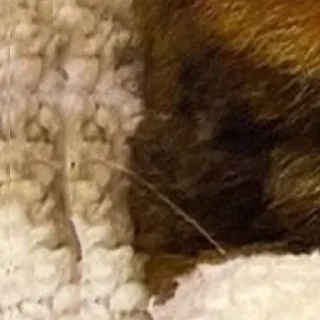 Стикер @rv0taenota - 9