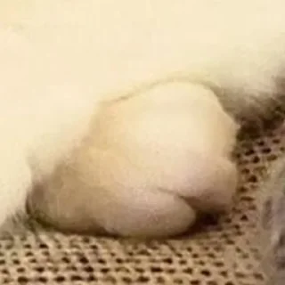 Стикер @rv0taenota - 3