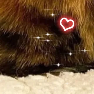 Стикер @rv0taenota - 6