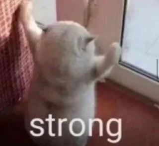 Sticker название - 4