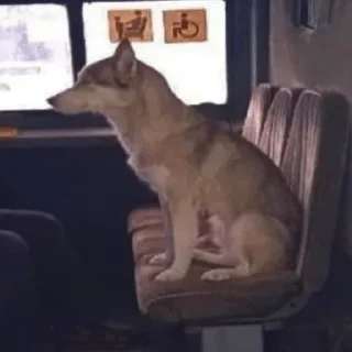 Стикер название фанфика - 5