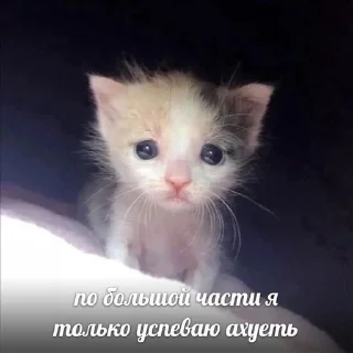 Стикер мои стикеры!! - 3