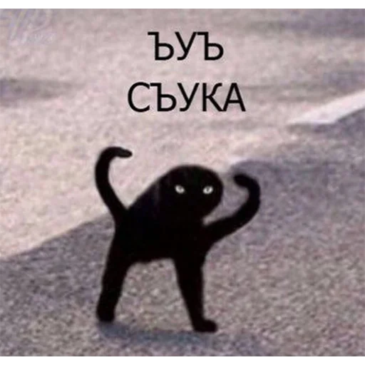 Sticker nd_stickers - 1