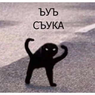 Стикер nd_stickers - 3