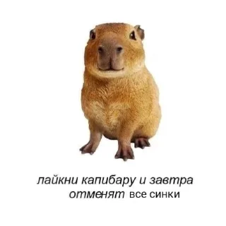 Стикер ProjectsCSATndaNDA - 5