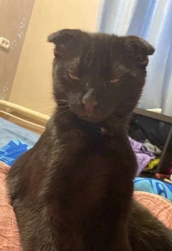 Sticker ndnsjsidkmsn - 1