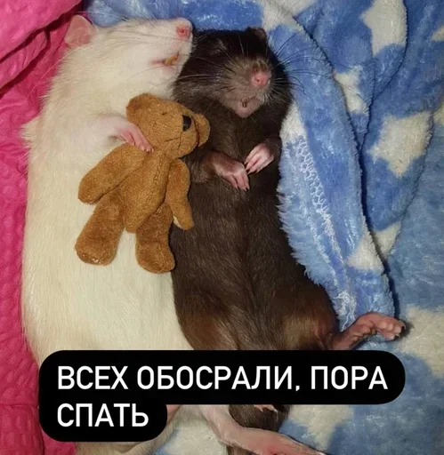 Стикер ndnsjsidkmsn - 1